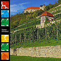 Saale Unstrut Wein Probierpaket