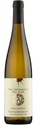 Sauvignon Blanc DQW trocken 2025 - Prof. Wartenberg & Prof. Sauer