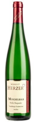 Weißburgunder DQW trocken 2024 Muschelkalk - Weingut Herzer