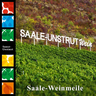 Saale Unstrut Wein - Probierpaket Saale Weinmeile 2019