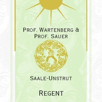 Regent DQW trocken 2021 - Weinbau Der Steinmeister